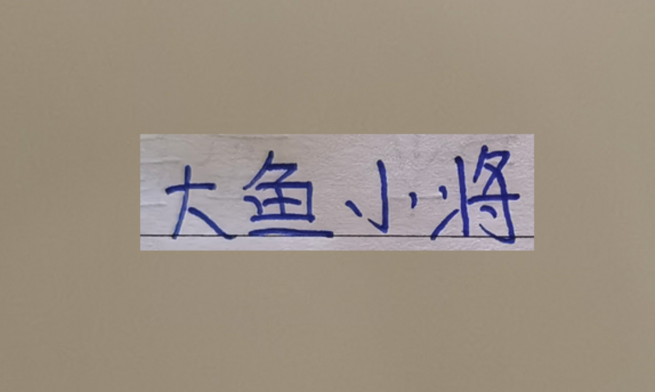 开云登录入口地址-超级杯海港新大鱼 带球和突破不亚于巴尔加斯！